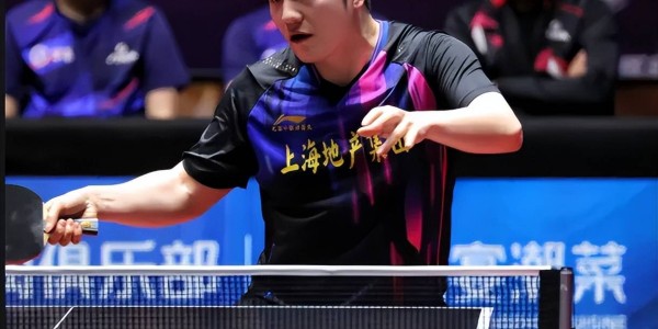 正式官宣！樊振东将征战欧冠联赛，率德甲球队冲欧冠四连冠